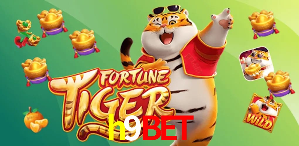 Experiência VIP h9bet